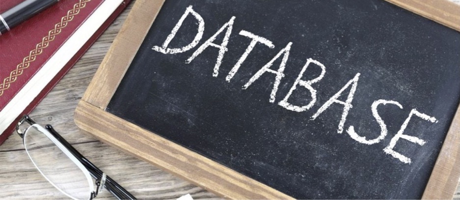 B2B Leads Databases