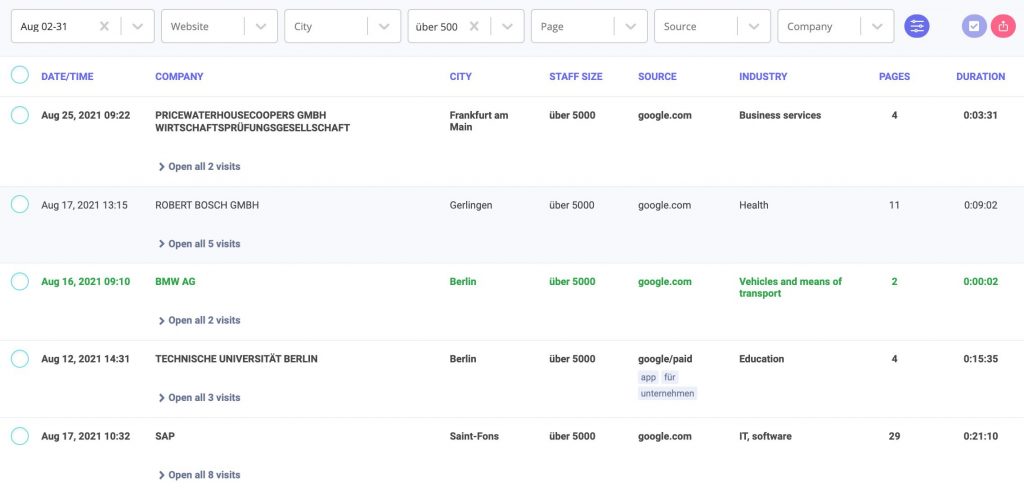 Website visitor data