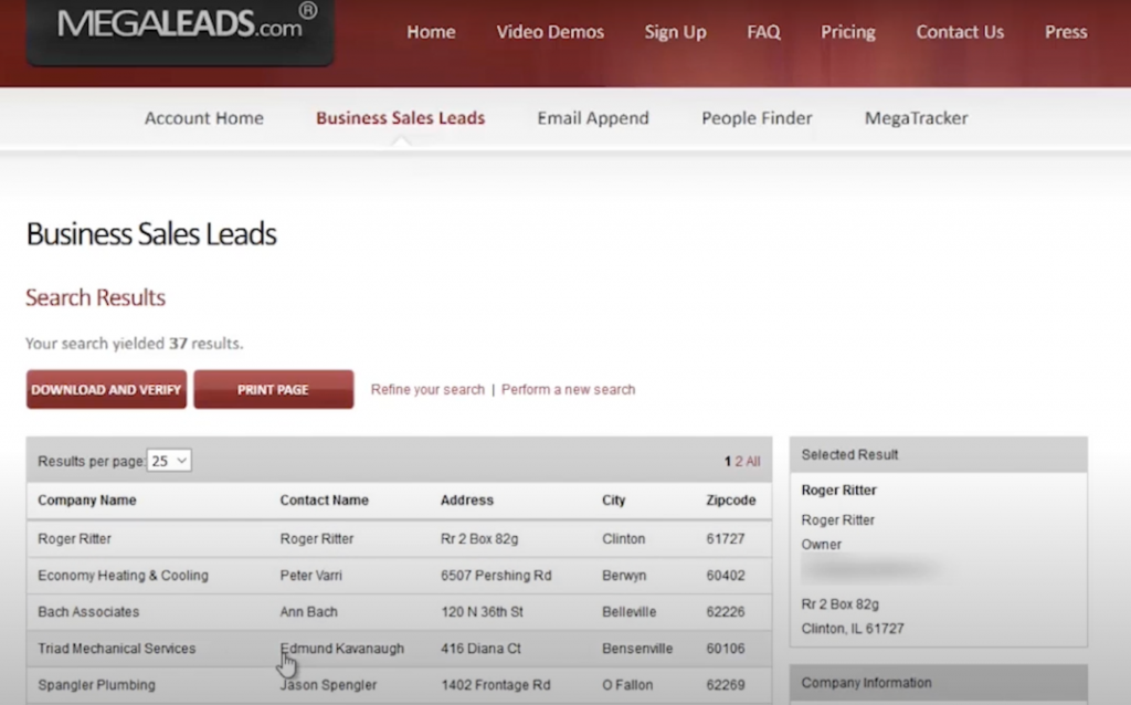 megaleads business sales leads