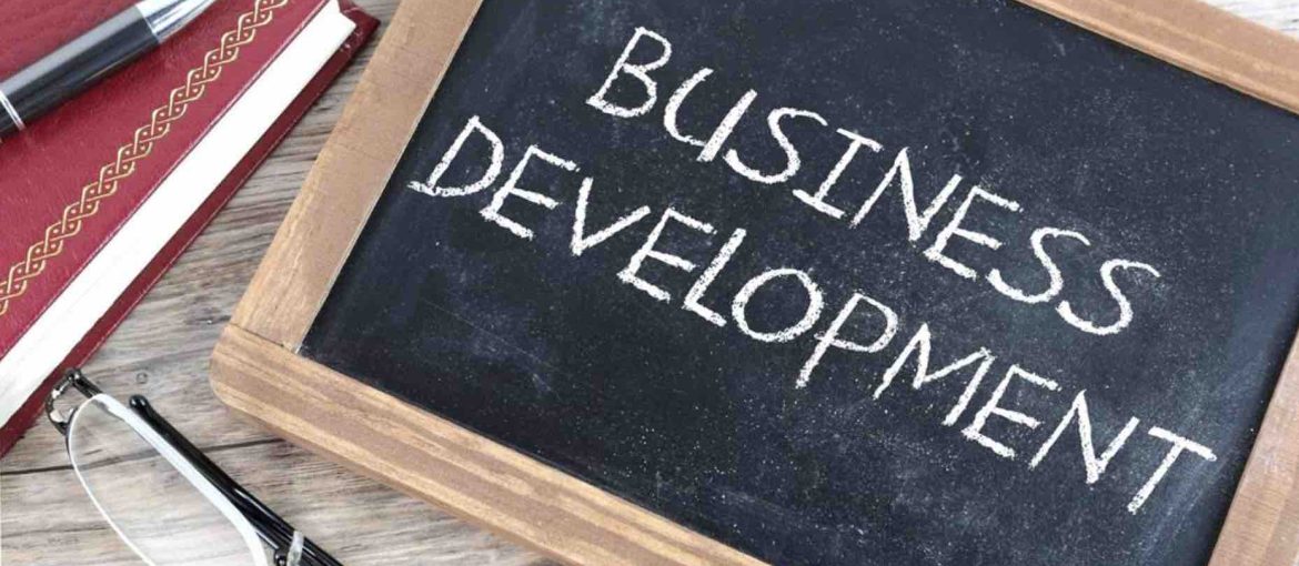 What is Business Development